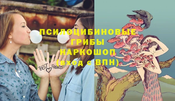 дмт Алексеевка