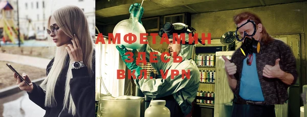 метадон Алексин